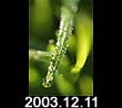2003.12.11
