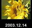 2003.12.14