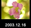 2003.12.16