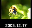2003.12.17