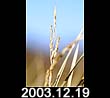 2003.12.19