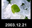 2003.12.21