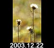2003.12.22