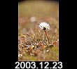 2003.12.23