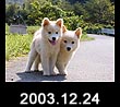 2003.12.24