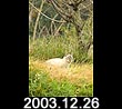 2003.12.26