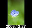 2003.12.27