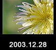 2003.12.28