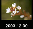 2003.12.30