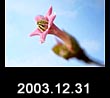 2003.12.31
