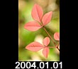 2004.01.01