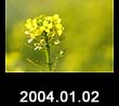 2004.01.02