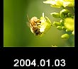 2004.01.03