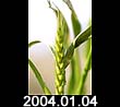 2004.01.04