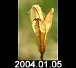 2004.01.05