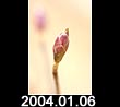 2004.01.06