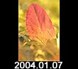2004.01.07