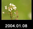 2004.01.08