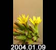 2004.01.09