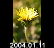 2004.01.11