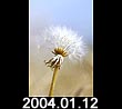 2004.01.12