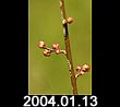 2004.01.13