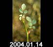 2004.01.14