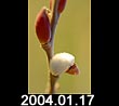 2004.01.17