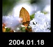 2004.01.18