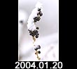 2004.01.20