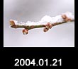 2004.01.21