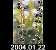 2004.01.22