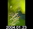 2004.01.23
