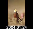 2004.01.24