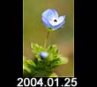 2004.01.25