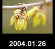 2004.01.26