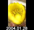 2004.01.28