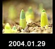 2004.01.29