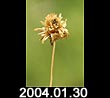 2004.01.30