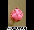 2004.02.01