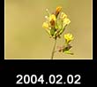2004.02.02