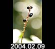 2004.02.09