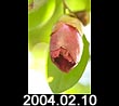 2004.02.10