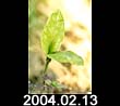 2004.02.13