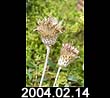 2004.02.14