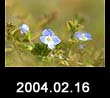 2004.02.16