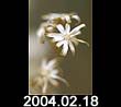 2004.02.18
