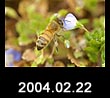 2004.02.22