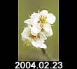 2004.02.23