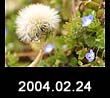 2004.02.24